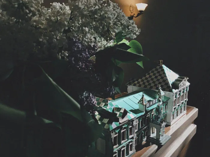 Фрагменты мероприятий музея