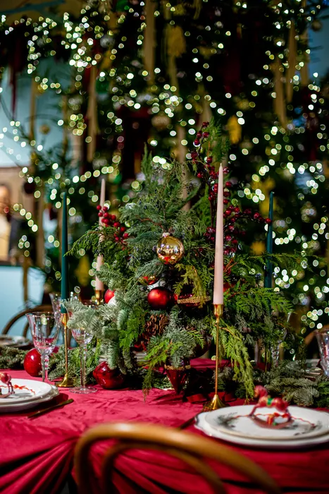 Автор фотографий - Дарья Ткаченко (г. Владимир)